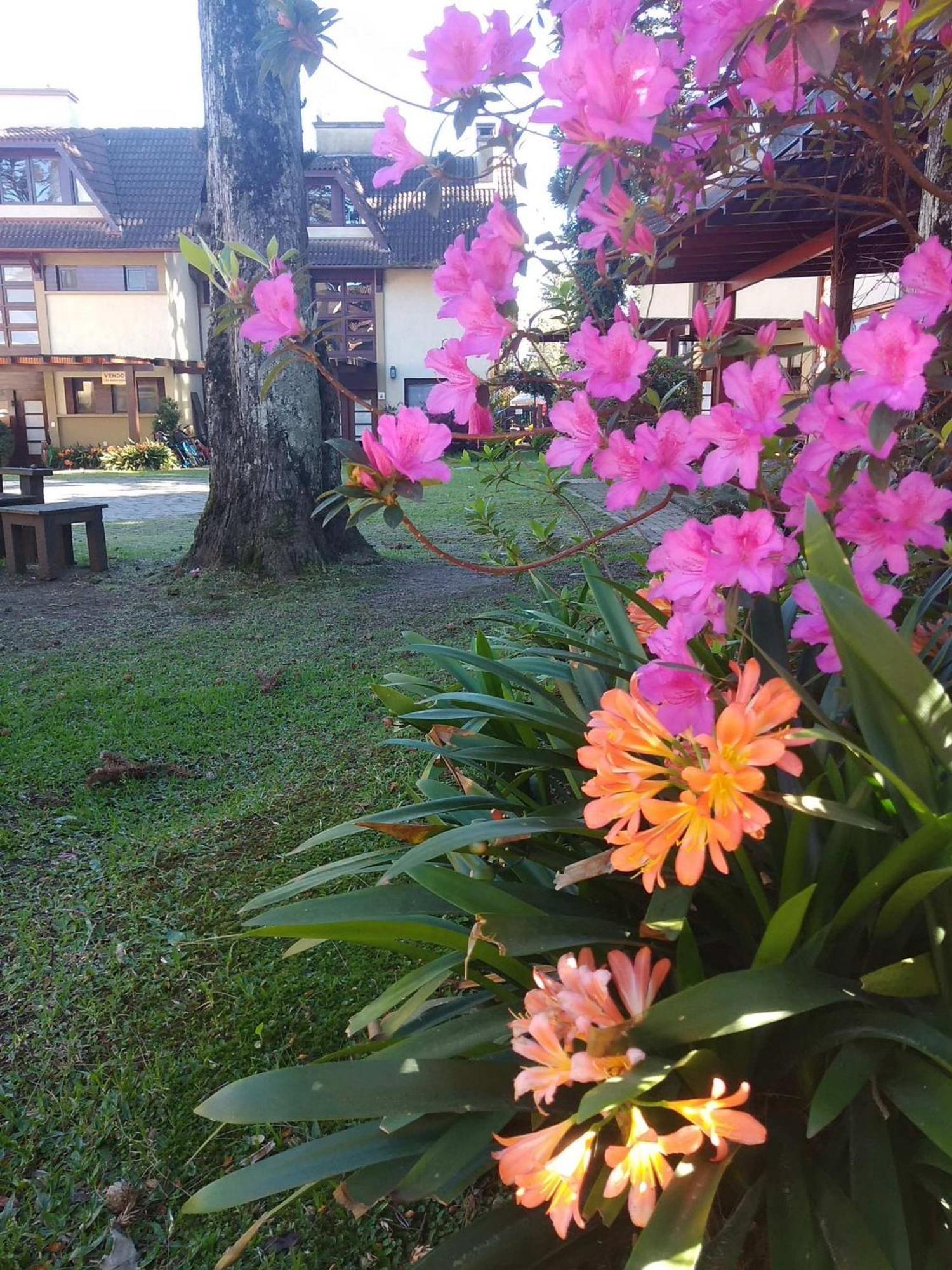 Apartament Estacao Das Hortensias, Seu Aconchego Em Gramado Zewnętrze zdjęcie